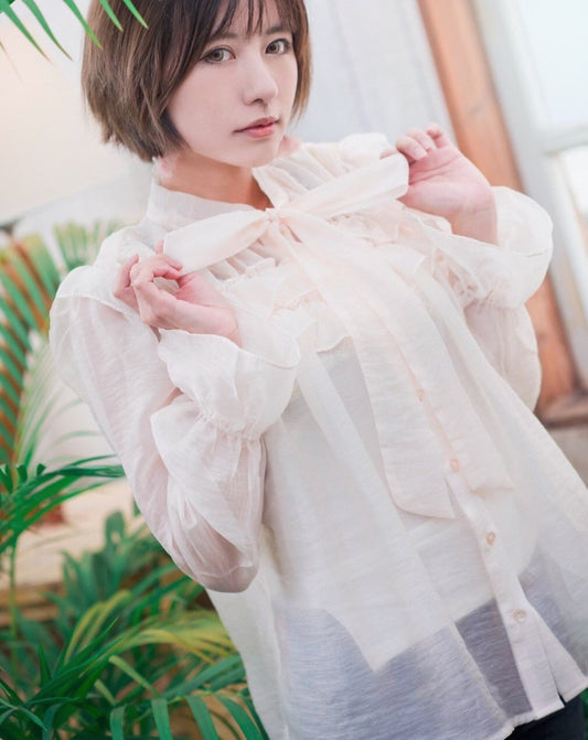 Sheer classical blouse