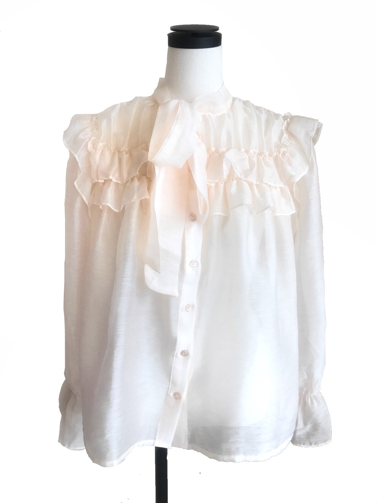 Sheer classical blouse